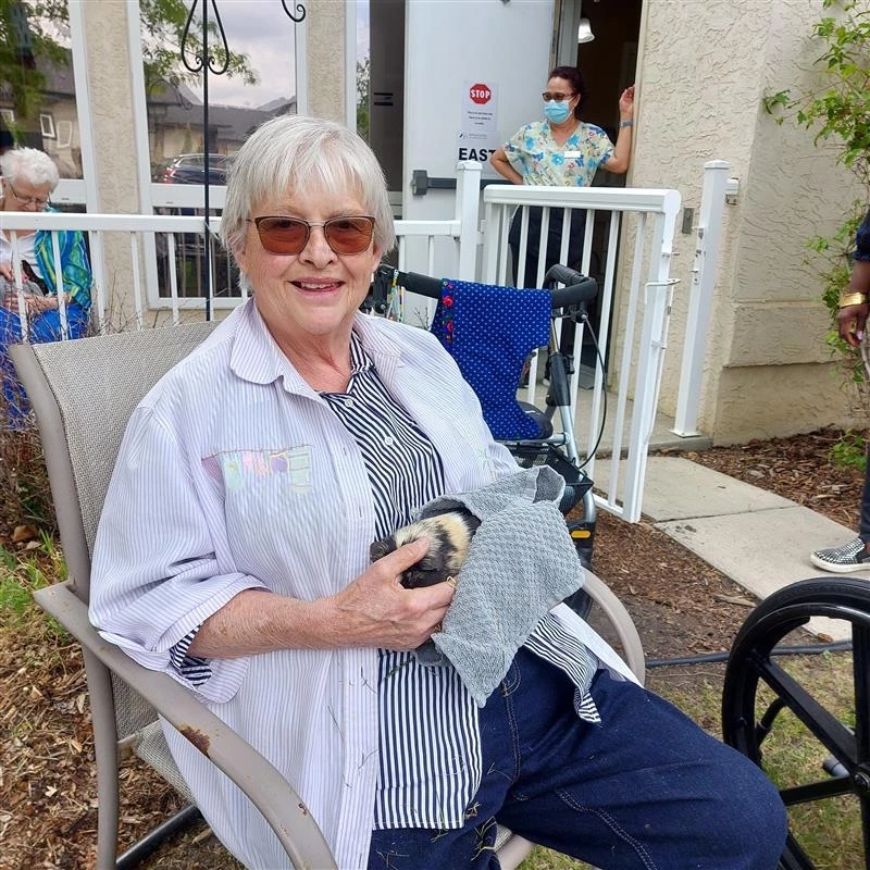 Woman holding guinea pig at Country Cottage petting zoo