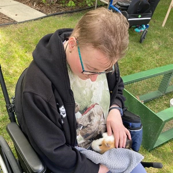 Woman holding guinea pig at country cottage petting zoo